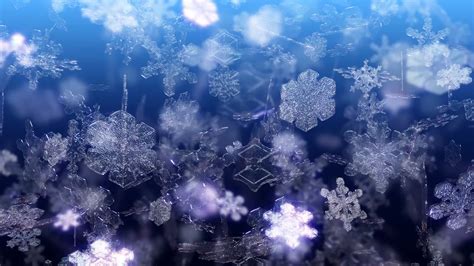 Image result for Snowflakes Falling Loop