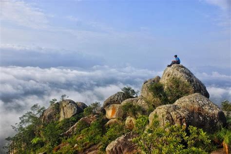 Meppadi Photos - Featured Images of Meppadi, Wayanad District - Tripadvisor