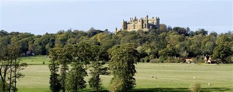 D K CARRIAGE HORSES (Woolsthorpe by Belvoir) - What to Know Before You Go