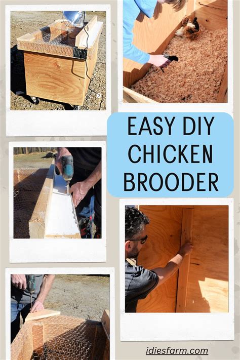 Image result for DIY Brooder Box