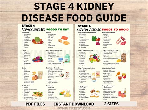 Stage 4 Kidney Disease Food List, Kidney Friendly Food List, Renal Diet ...