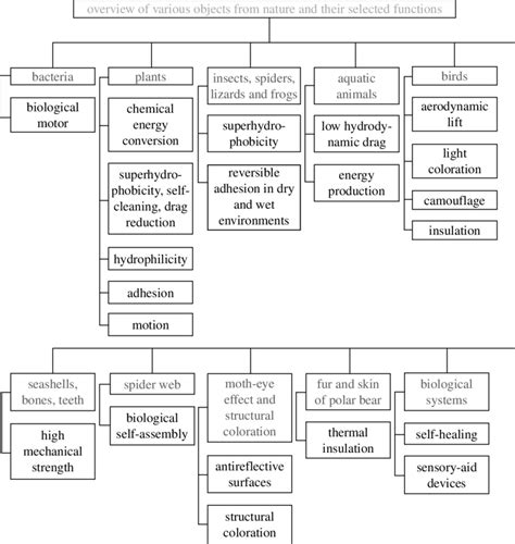 Image result for Functions of Objects Examples