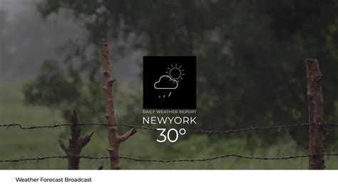 Weather Video Add 的图像结果