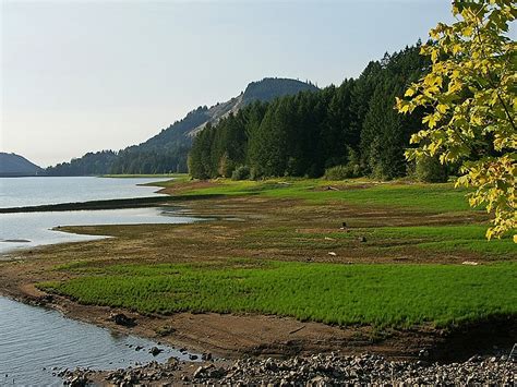 Dorena Tourism: All You Need to Know Before You Go (2024)