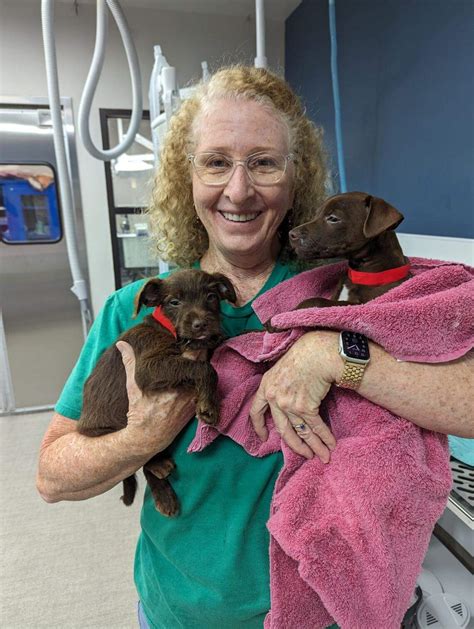 Woods Humane Society celebrates 70 years in SLO County CA | San Luis ...