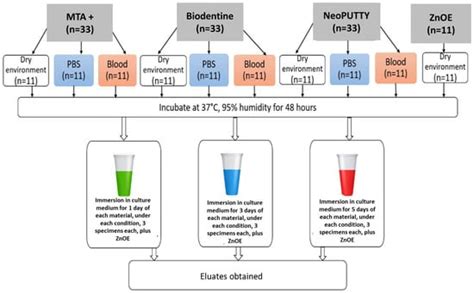 JFB | Special Issue : The 15th Anniversary of JFB—Endodontic Biomaterials