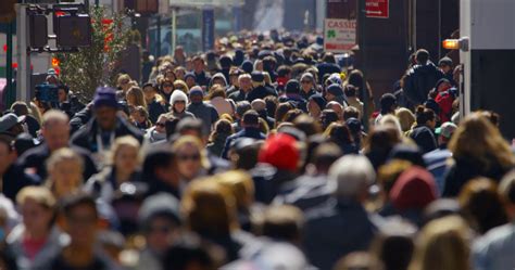 Crowd Calendar Volcano Bay - astra.edu.pl