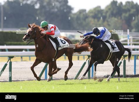 Kyoto, Japan. 28th Oct, 2023. 2023/10/28 KYOTO 03R Danon Decile ...