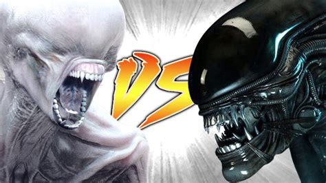 Image result for Xenomorph vs Protomorph