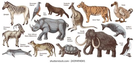 Image result for Extinct Animals with Names