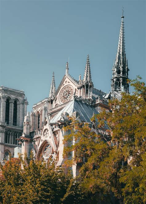 University of Notre Dame Acceptance Rates: Everything You Need To Know ...