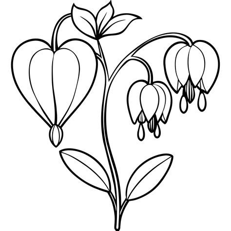 Bleeding Heart flower outline illustration coloring book page design ...