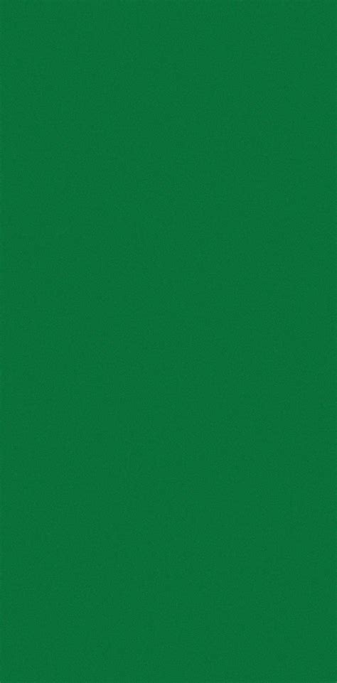 8077 LIGHT GREEN || Safedecor Pvt. Ltd.