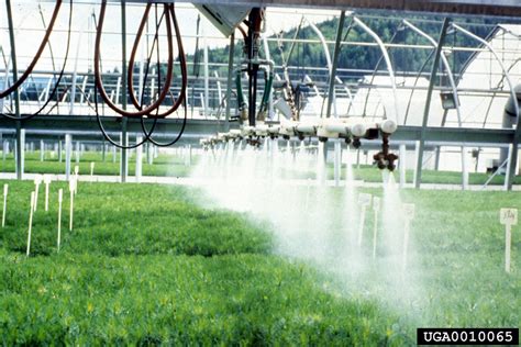 Irrigation Backflow Device Testing 的图像结果