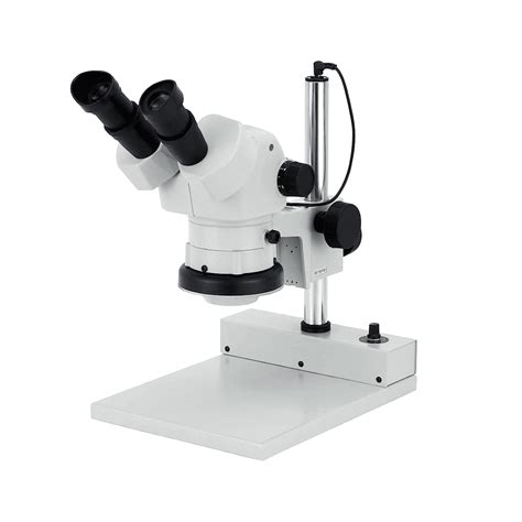 Stereo Microscope 的图像结果