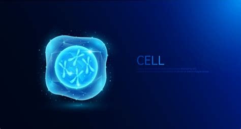 Image result for DNA Cell Replication
