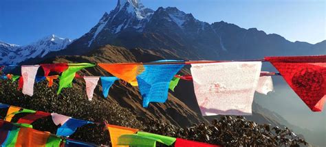 Freiwilligenarbeit in Nepal | Rainbow Garden Village