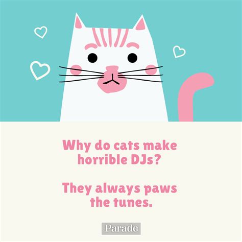 Cat Jokes One Liners at Sybil Downing blog