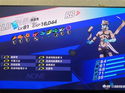 ppR3 Vector 的图像结果