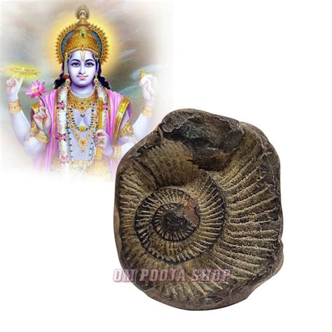 Sudarshan Chakra Shaligram Shila