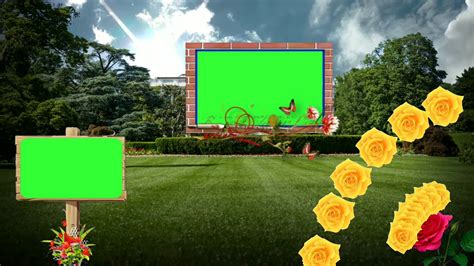 Image result for Greenscreen Effect Streaming