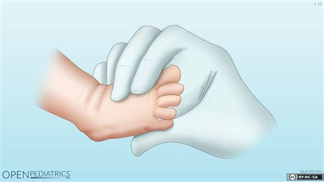 Dorsalis Pedis Pulse