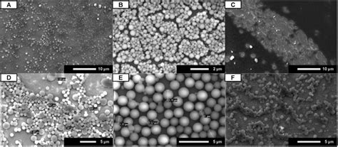 Uniform and Robust Peptoid Microsphere Coatings