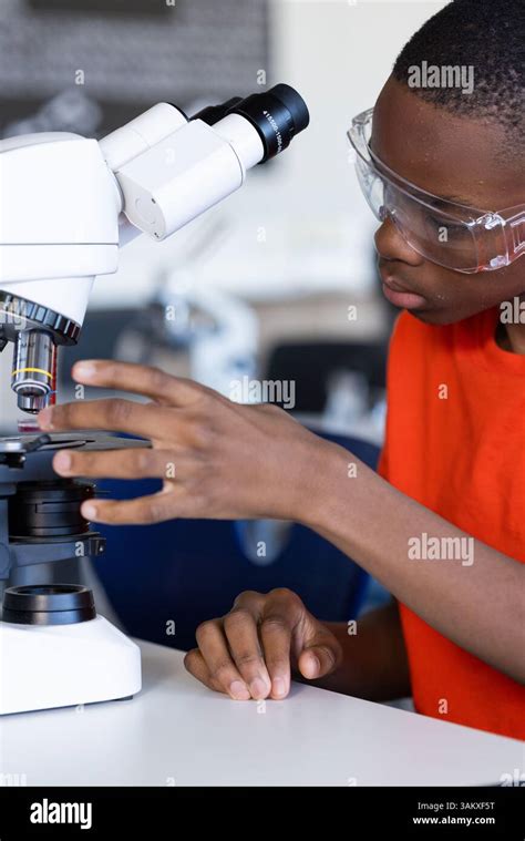 Image result for Using a Microscope Lab