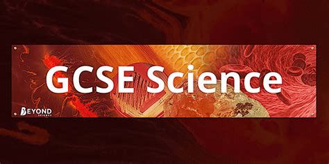 Image result for GCSE Science Lessons