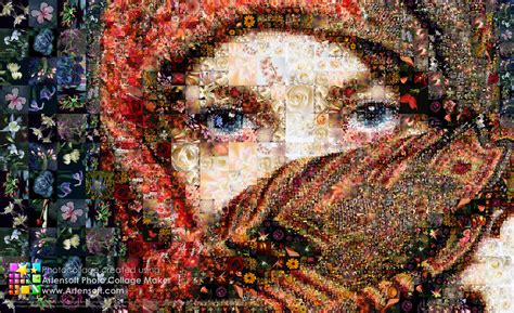 Create Collage Data Model 的图像结果