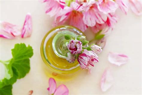 Image result for Essential Mods for Minecraft