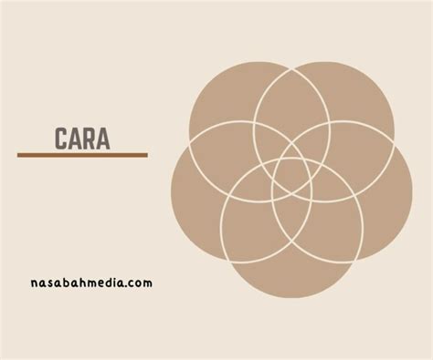 Image result for How to Paste Over Filter