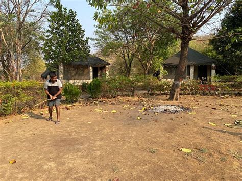 CAMP SERAI TIGER TADOBA (Kondegaon Tuk) - Lodge Reviews, Photos, Rate ...