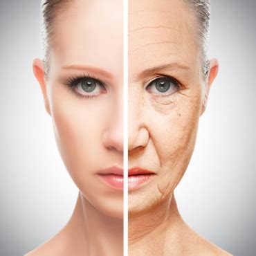 Anti-ageing activity – Centre For Cruelty free Testing