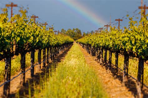 California 的图像结果