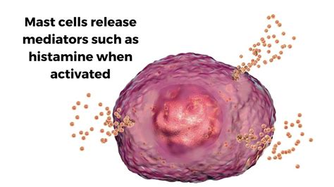 Understanding the Nighttime Histamine Dump: Causes, Symptoms, and Prevention | Dr. Hagmeyer