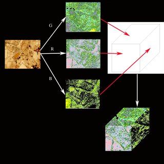 Image result for Image Processing Threshold