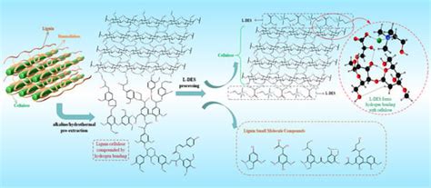 Chemical and Structural Elucidation of Lignin and Cellulose Isolated ...