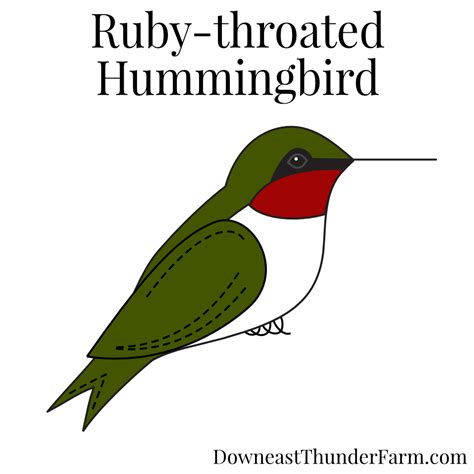 Image result for Hummingbird Carving Patterns