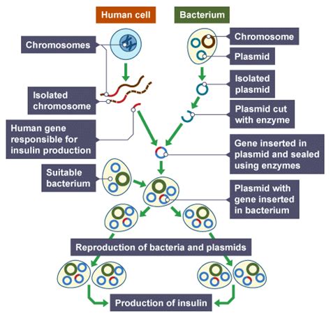 Sustainable Fisheries and Role of Biotechnology - Biology for Grade 10 ...