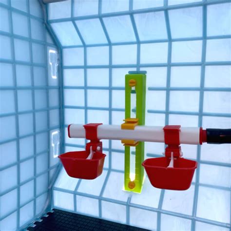 Image result for How to Brooder Quail Chicks