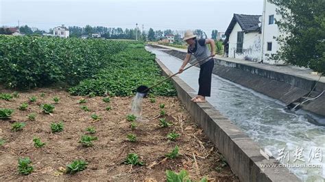 南阳市卧龙区陆营镇高标准农田项目 农业灌溉实现刷卡即出水-河南商报