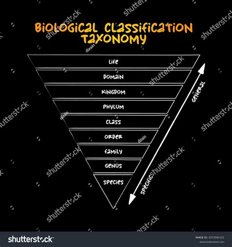 Image result for Scientific Classification Table