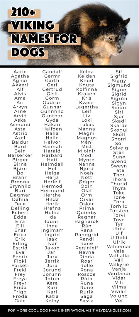 Male Viking Dog Names at Mary Chute blog