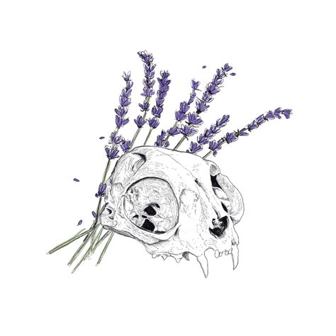 Benjamin Gage | Designer