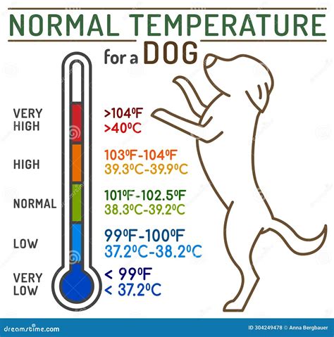 Ac Temperature For Cats In Celsius at Nancy Sheridan blog