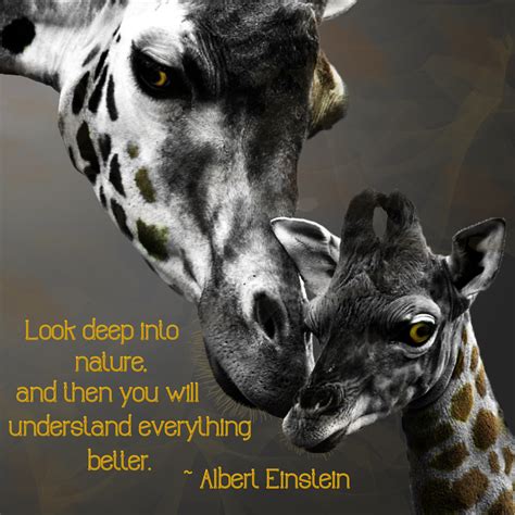 Image result for Manipulative Behavior Example Act Out