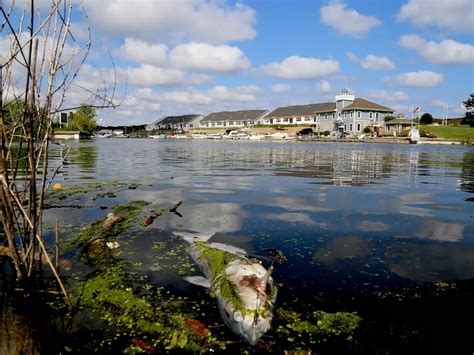 Indiana National Park Reopens Beaches After Deadly Cyanide Leak Killed ...