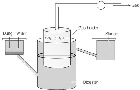 SATHEE: Chapter 10 Microbes in Human Welfare