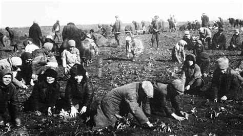 Photos: 7 Decades of the Soviet Union | HISTORY - history of ussr